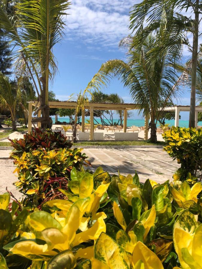 Jambo Beach Hotel Paje Ngoại thất bức ảnh